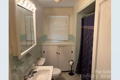 104 Turley Falls Road, Hendersonville, NC 28739 - Photo 16