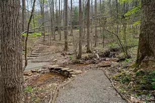 81 Creekside Wy, Burnsville, NC 28714 - Photo 38