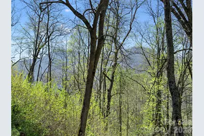 79 Ward Road, Maggie Valley, NC 28751 - Photo 48