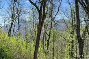 79 Ward Rd, Maggie Valley, NC 28751 - Photo 48