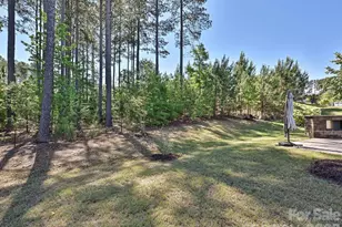 304 Picasso Trl, Mount Holly, NC 28120 - Photo 34