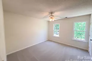 10009 Wild Dogwood Ct, Charlotte, NC 28273 - Photo 16