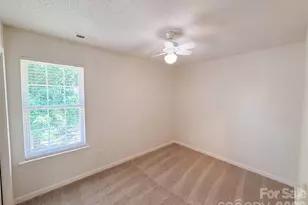 10009 Wild Dogwood Ct, Charlotte, NC 28273 - Photo 14