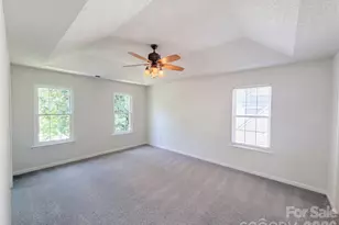 10009 Wild Dogwood Ct, Charlotte, NC 28273 - Photo 4