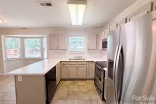 10009 Wild Dogwood Ct, Charlotte, NC 28273 - Photo 2
