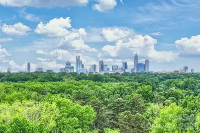 420 Grey Reagan Trail #21, Charlotte, NC 28211 - Photo 28