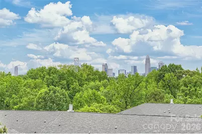 420 Grey Reagan Trail, Charlotte, NC 28211 - Photo 28
