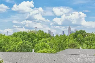 420 Grey Reagan Trail, Charlotte, NC 28211 - Photo 28