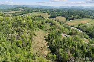 191 Posey Griffin Dr, Mars Hill, NC 28754 - Photo 26