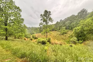 191 Posey Griffin Dr, Mars Hill, NC 28754 - Photo 36