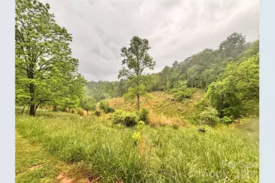 191 Posey Griffin Drive, Mars Hill, NC 28754 - Photo 38