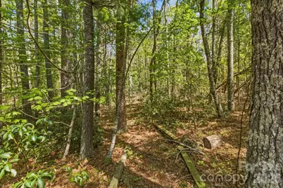 31 Ashbrook Meadows, Fletcher, NC 28732 - Photo 36