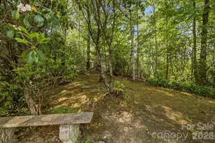 310 Windy Knoll Dr, Hendersonville, NC 28739 - Photo 10