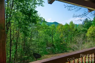 298 Timbuktu Rd, Sylva, NC 28779 - Photo 10