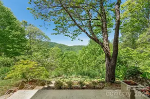 144 Pegg Rd, Barnardsville, NC 28709 - Photo 6
