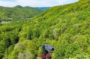 144 Pegg Rd, Barnardsville, NC 28709 - Photo 44