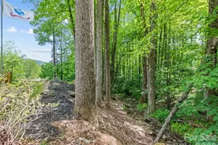 1073 Lentini Dr, Waynesville, NC 28785 - Photo 32