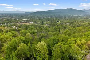 110 Leisure Mountain Rd, Asheville, NC 28804 - Photo 6