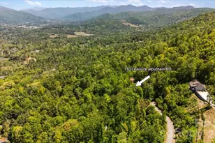 110 Leisure Mountain Rd, Asheville, NC 28804 - Photo 8