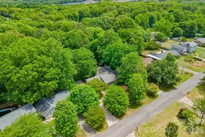 107 Fox Run Drive, Fort Mill, SC 29715 - Photo 42