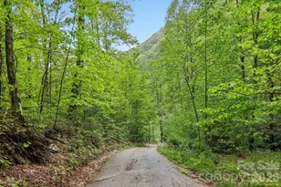 47 Lo Cove, Maggie Valley, NC 28751 - Photo 34