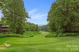3509 Mountain Top Way, Hendersonville, NC 28739 - Photo 26