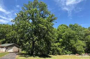 1249 Melvin Hill Rd, Campobello, SC 29322 - Photo 38
