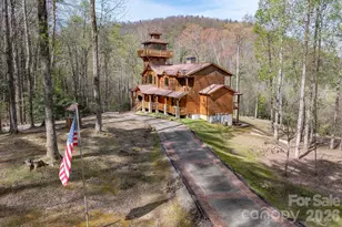 716 Peppervine Cir, Brevard, NC 28712 - Photo 22