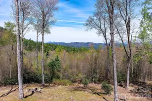 716 Peppervine Cir, Brevard, NC 28712 - Photo 24
