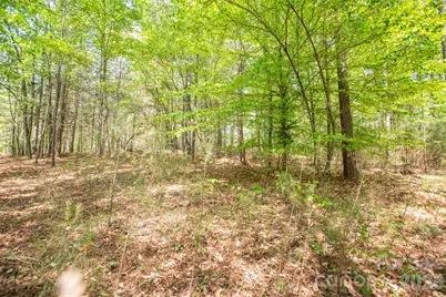 1518 W Paradise Harbor Drive, Connelly Springs, NC 28612 - Photo 6