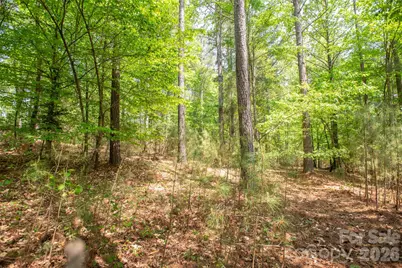 1518 W Paradise Harbor Drive, Connelly Springs, NC 28612 - Photo 8