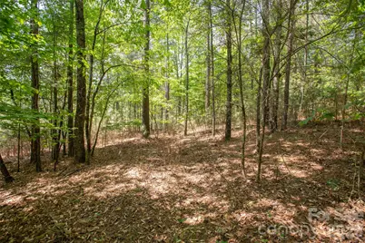 1518 W Paradise Harbor Drive, Connelly Springs, NC 28612 - Photo 10