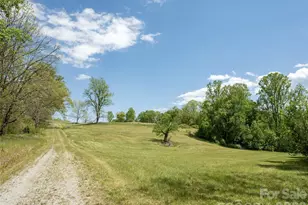 154 High Pasture Trail, Mills River, NC 28759 - Photo 18