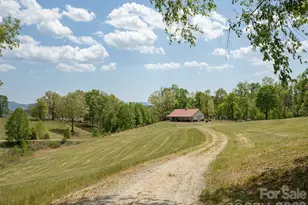 154 High Pasture Trail, Mills River, NC 28759 - Photo 6