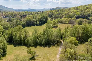 154 High Pasture Trail, Mills River, NC 28759 - Photo 34