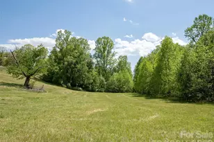 154 High Pasture Trail, Mills River, NC 28759 - Photo 16