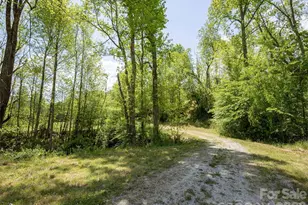 154 High Pasture Trail, Mills River, NC 28759 - Photo 20
