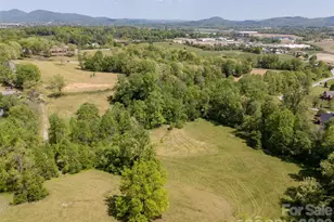 154 High Pasture Trail, Mills River, NC 28759 - Photo 28