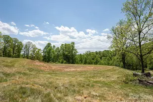 154 High Pasture Trail, Mills River, NC 28759 - Photo 14
