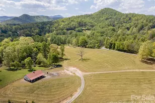 154 High Pasture Trail, Mills River, NC 28759 - Photo 24
