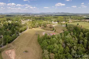 154 High Pasture Trail, Mills River, NC 28759 - Photo 30