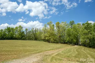 154 High Pasture Trail, Mills River, NC 28759 - Photo 10