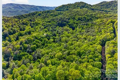 451 Signal Tree Road, Deep Gap, NC 28618 - Photo 2