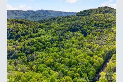 451 Signal Tree Road, Deep Gap, NC 28618 - Photo 14