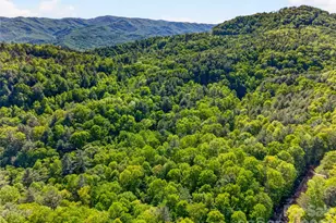 451 Signal Tree Rd, Deep Gap, NC 28618 - Photo 14