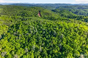 451 Signal Tree Rd, Deep Gap, NC 28618 - Photo 26