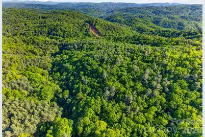 451 Signal Tree Road, Deep Gap, NC 28618 - Photo 2