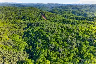 451 Signal Tree Rd, Deep Gap, NC 28618 - Photo 2