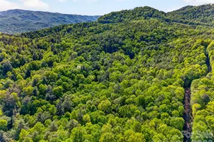 451 Signal Tree Rd, Deep Gap, NC 28618 - Photo 1