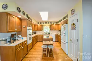 548 Thunder Rd, Brevard, NC 28712 - Photo 10